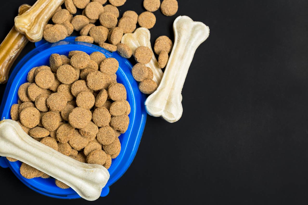 Recensioni di prodotti per animali domestici
