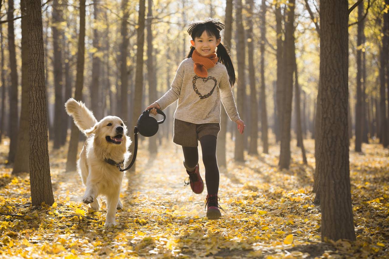 Come prendersi cura dei cani in modo sano