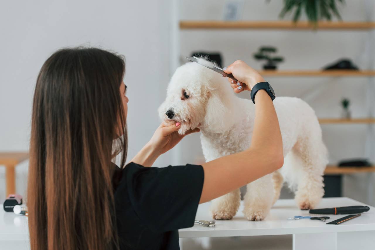 Come scegliere i giusti prodotti per la toelettatura degli animali