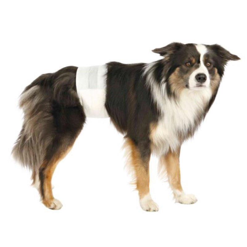 Trixie - Pannolini/Fasce per Cani Maschio - S/M