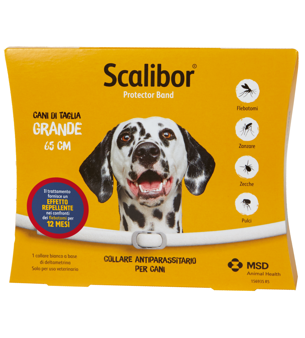 MSD - Scalibor - Cane grande