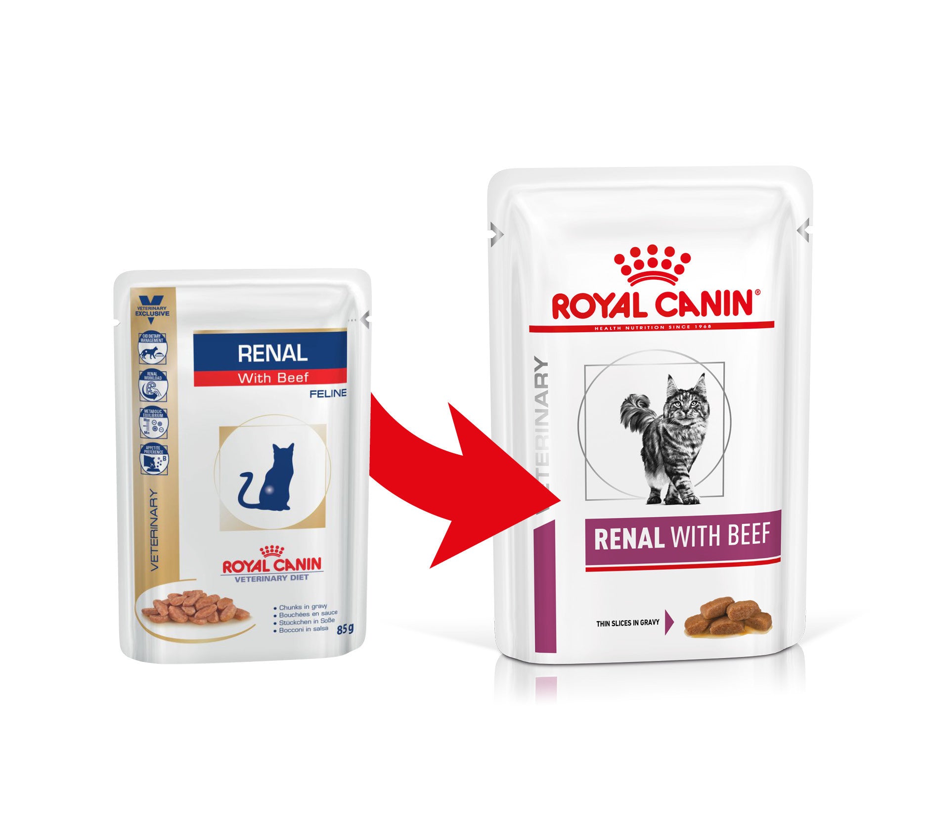 Royal Canin - Veterinary Diet Feline - Renal - 85g x 12 bustine