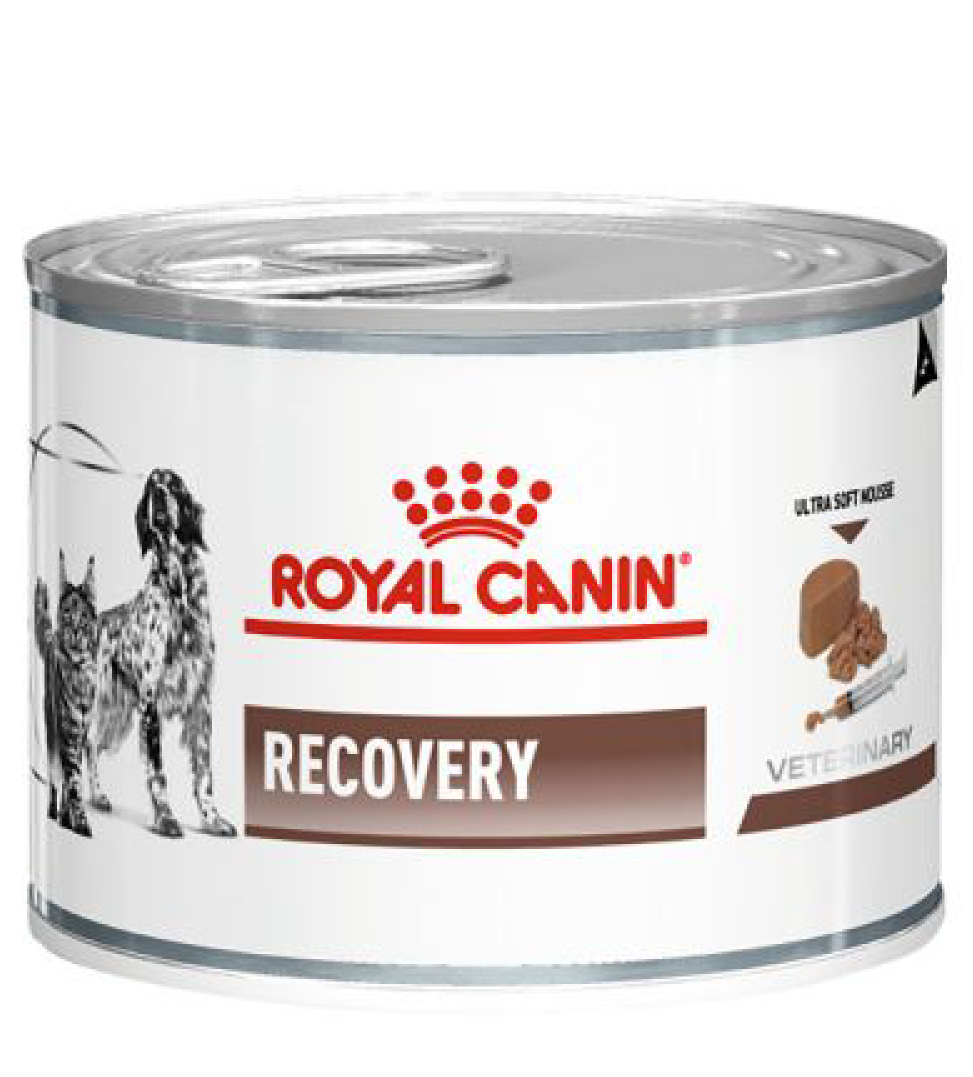 Royal Canin - Veterinary Diet Canine/Feline - Recovery - 195gr