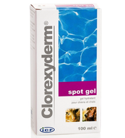 ICF - Clorexyderm - Spot Gel - 100ml