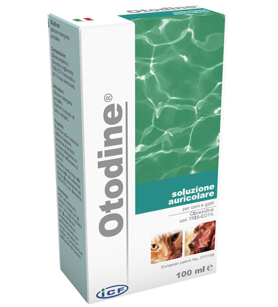 ICF - Otodine - 100ml