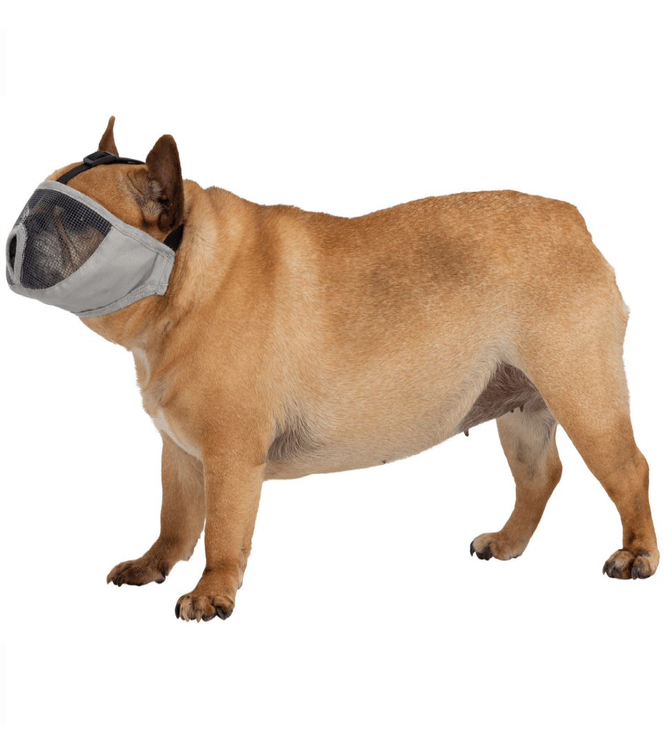 Trixie - Museruola per Muso Corto - M