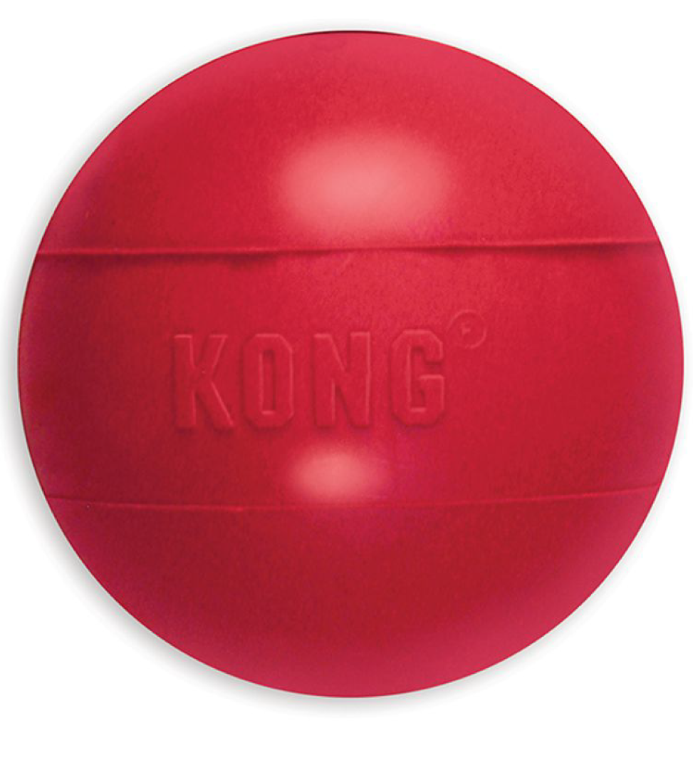 Kong - Ball - M/L