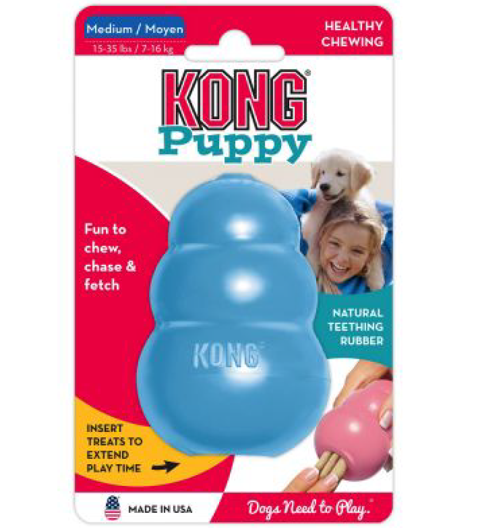 Kong - Puppy - M