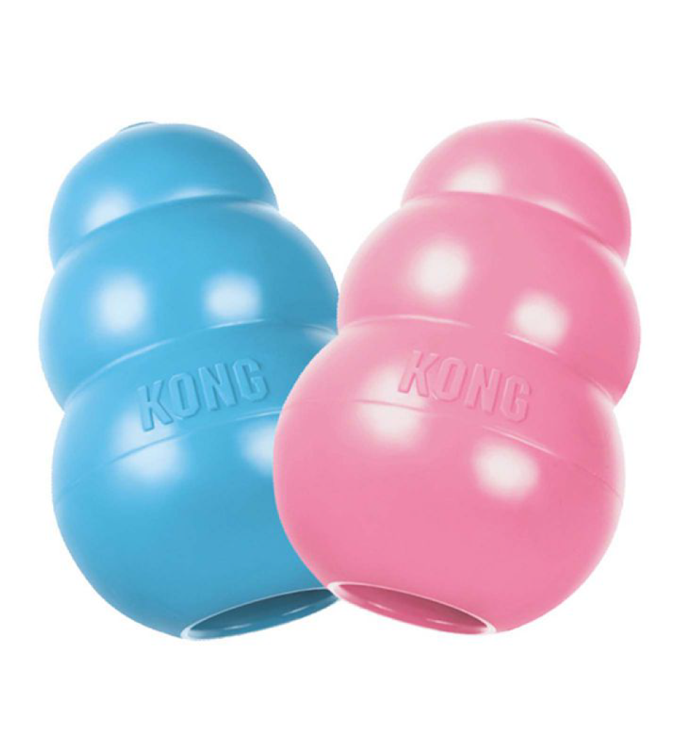 Kong - Puppy - M