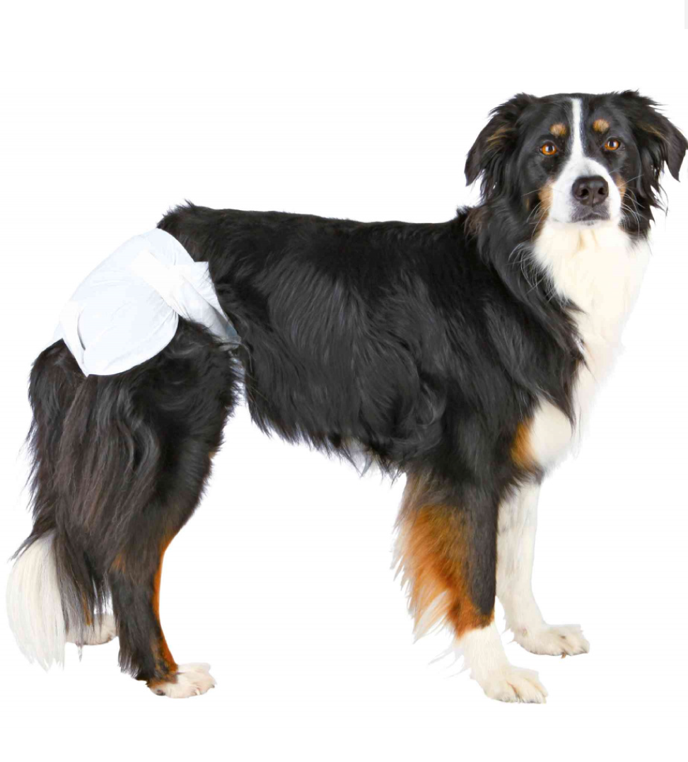 Trixie - Pannolini per Cani Femmina - XL