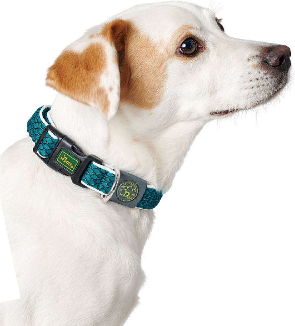 Hunter - Collare Hilo Vario Basic - M/L