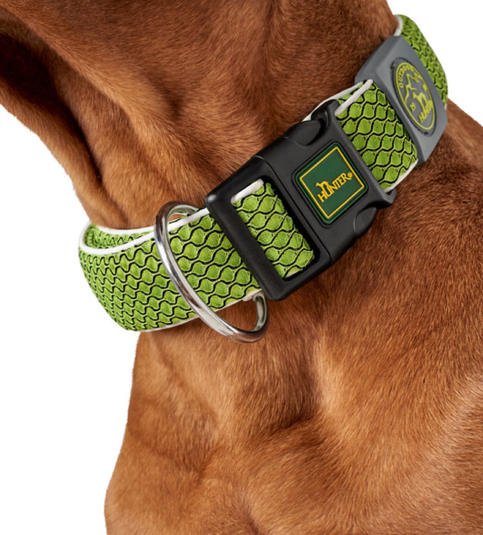 Hunter - Collare Hilo Vario Basic - M/L