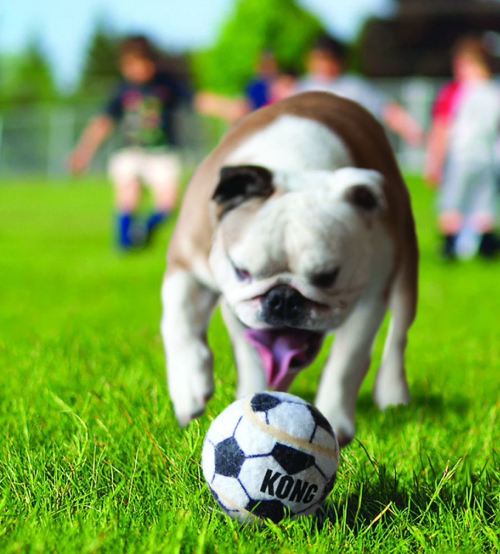 Kong - Sport Balls - S