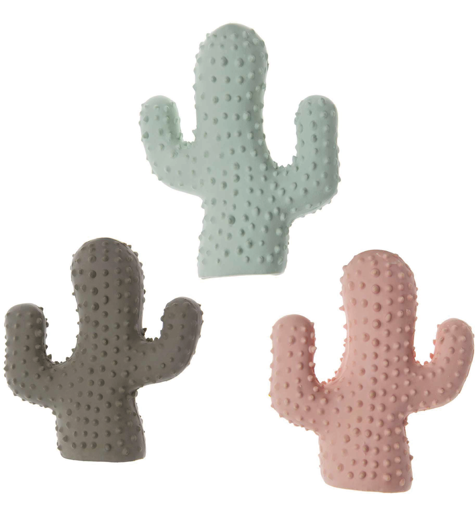 Imac - Cactus in Lattice