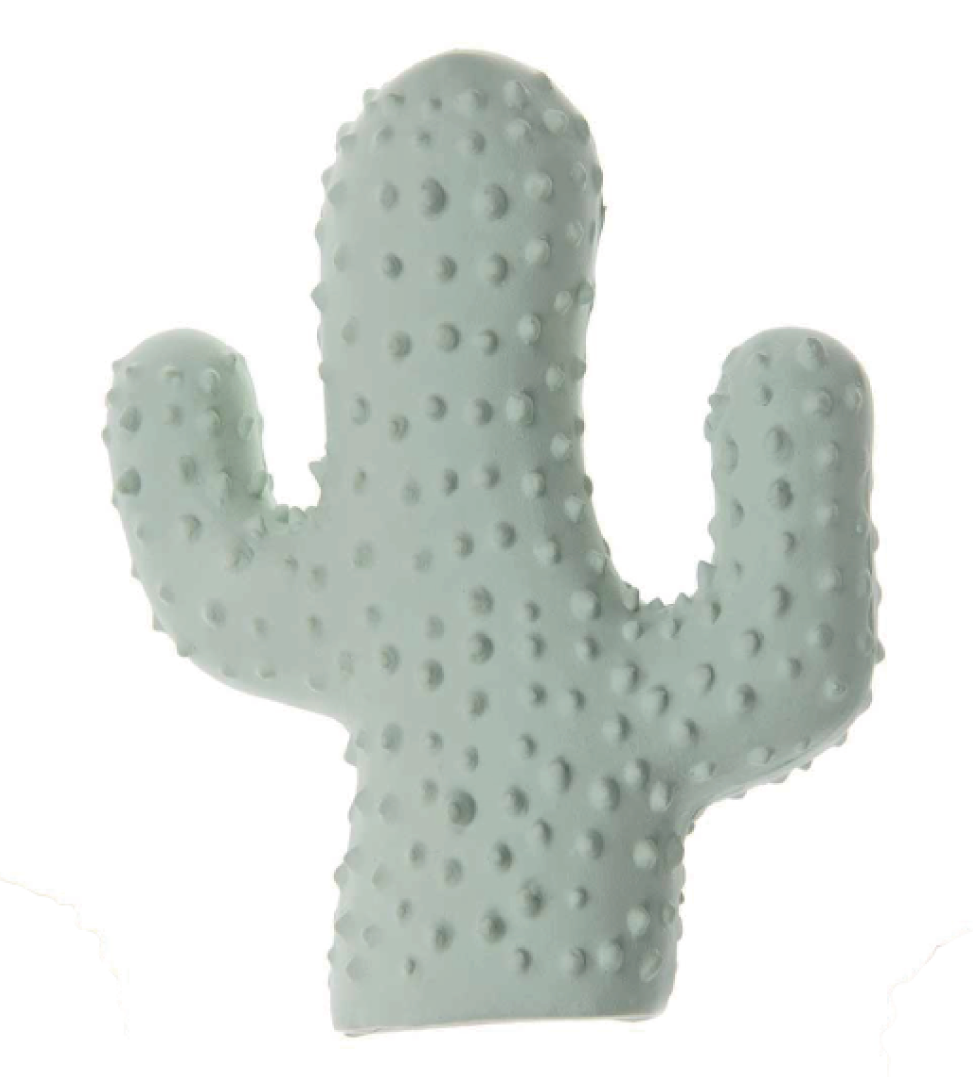 Imac - Cactus in Lattice
