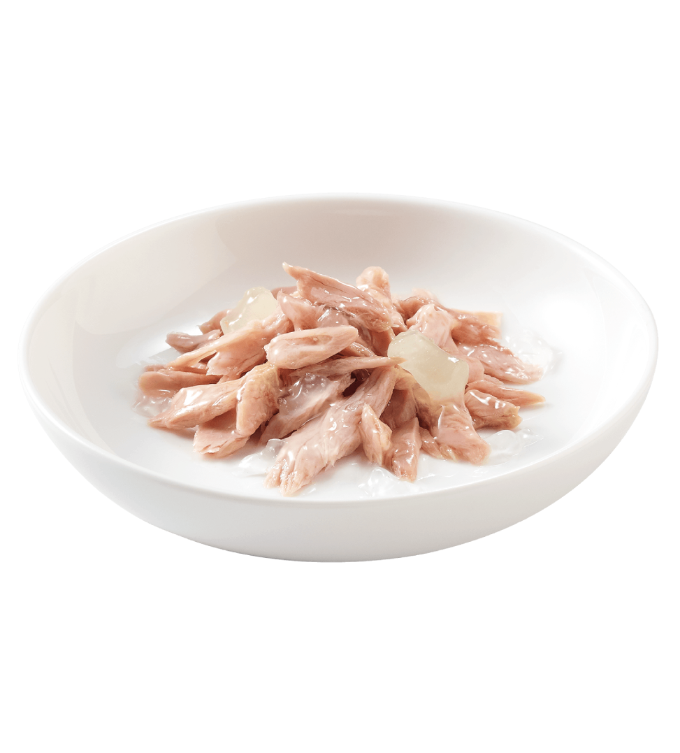 Schesir Cat - In Gelatina - Kitten - 85gr