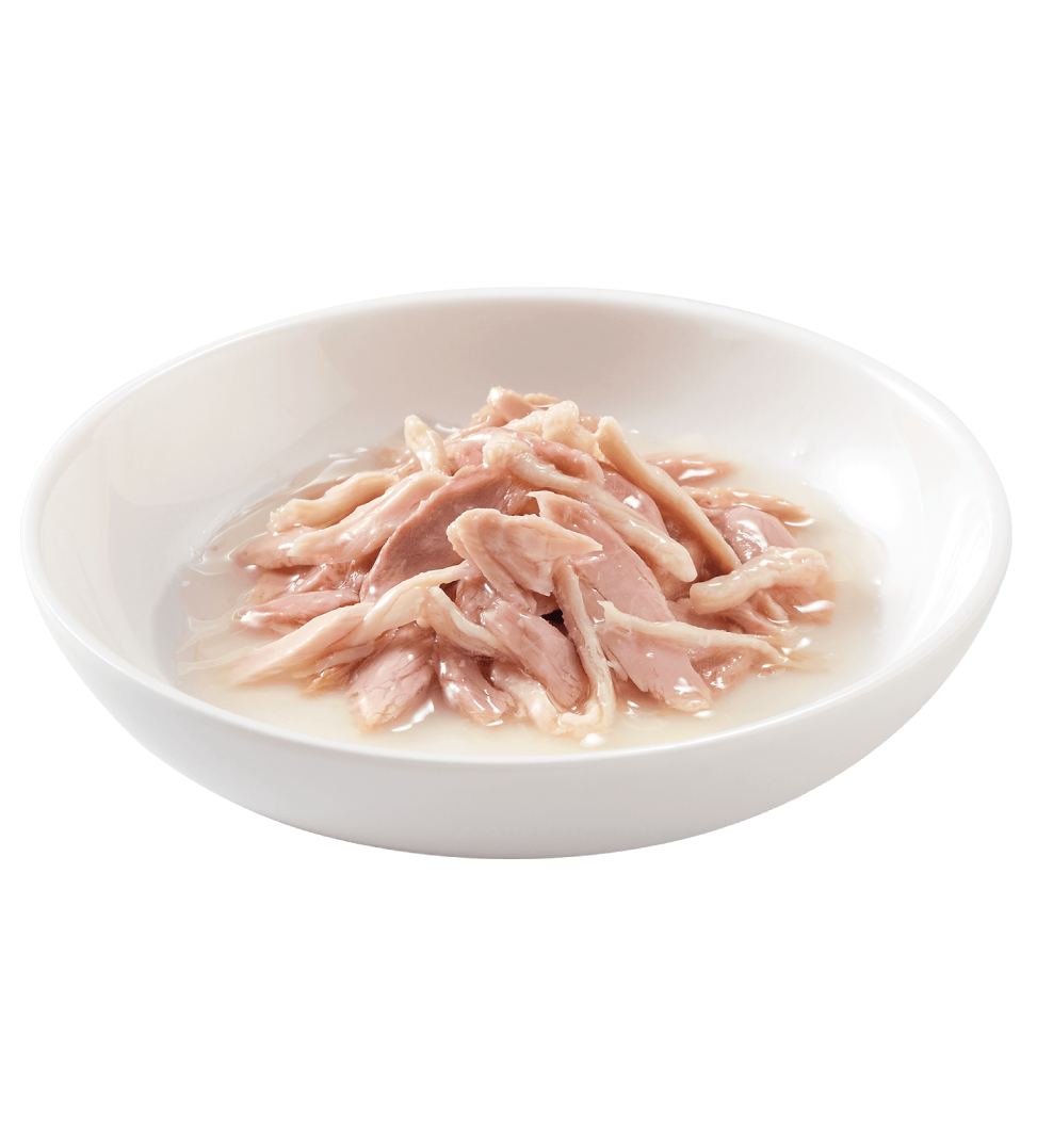 Schesir Cat - Completo - In Brodo - 85gr