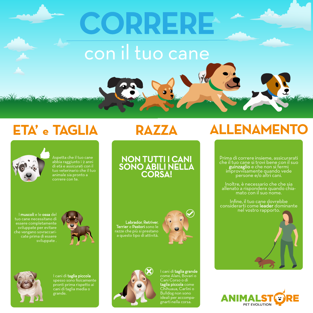 Trixie - Cintura in vita con guinzaglio per cani medi/grandi