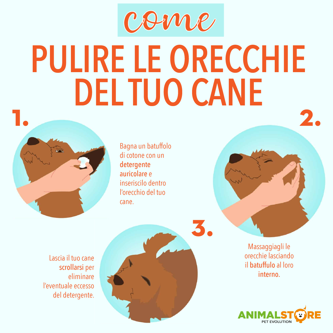 ICF - Otodine - 100ml