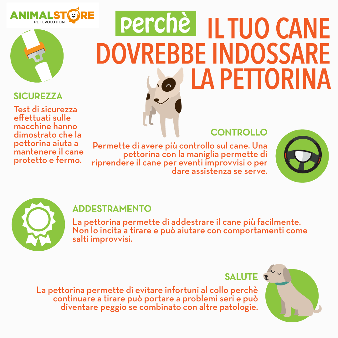 Trixie - Pettorina Power Julius-K9 - Taglia 3/XL-XXL