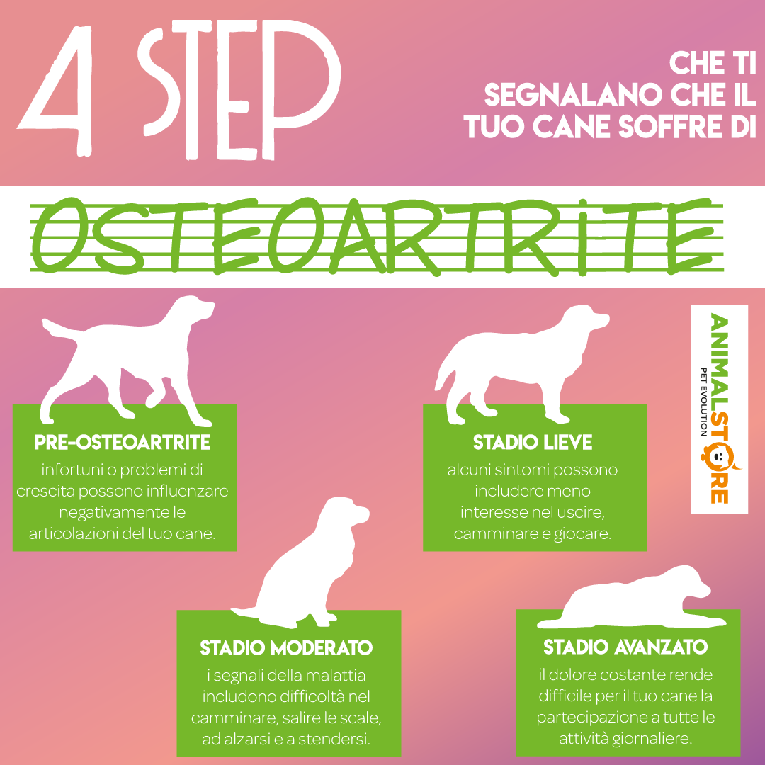 NBF - Artikrill cane - 120 perle