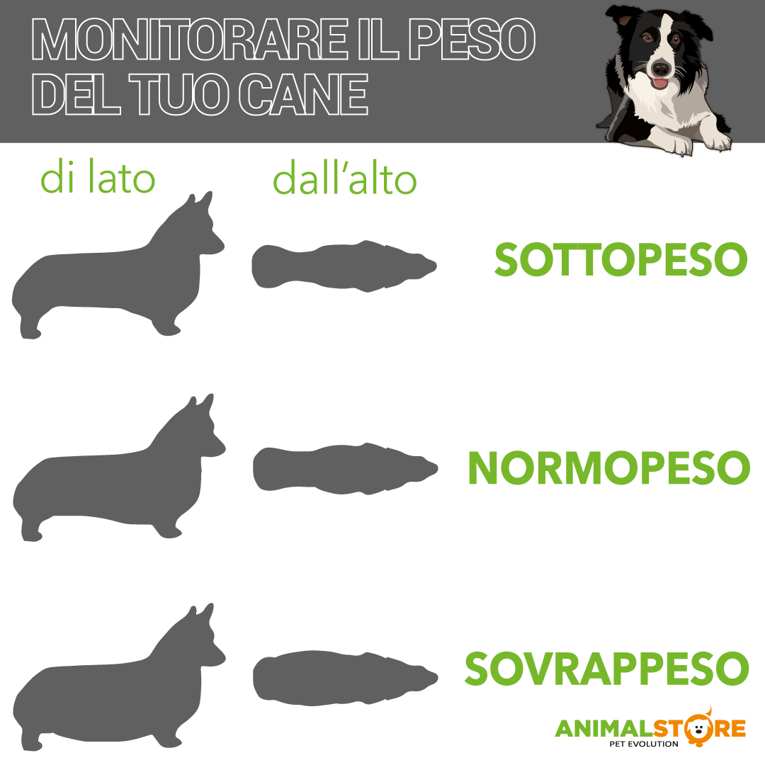 Hill's - Prescription Diet Canine - Metabolic+Mobility - 12 kg