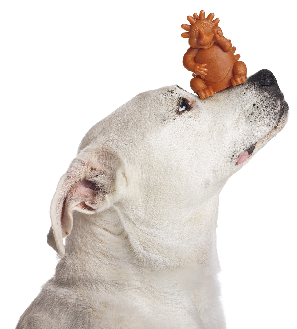 Whimzees - Snack Dentale Vegetale - Riccio