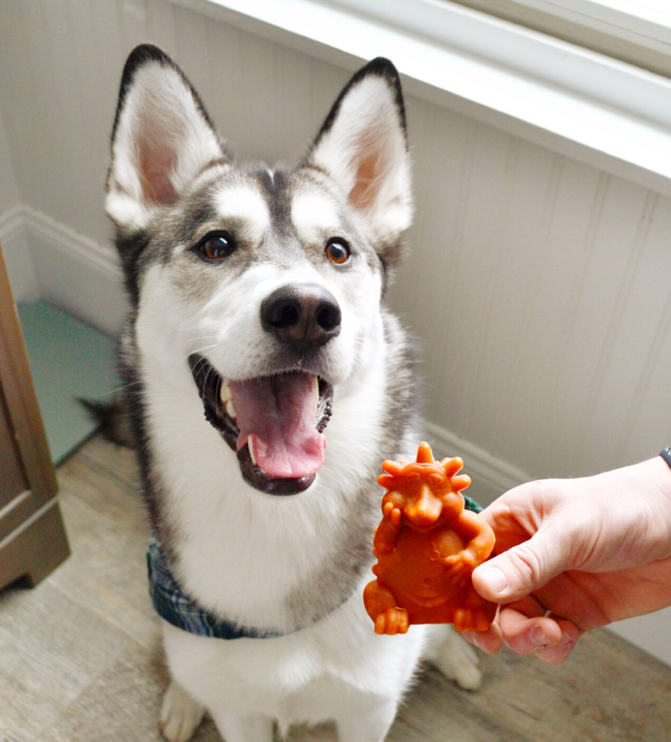 Whimzees - Snack Dentale Vegetale - Riccio