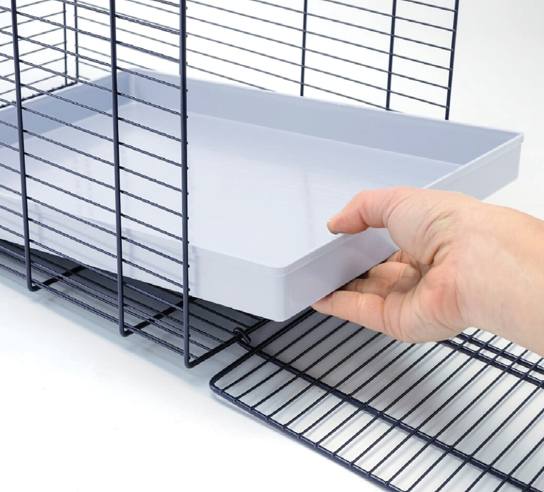 Imac - Trasporto Gatto 2