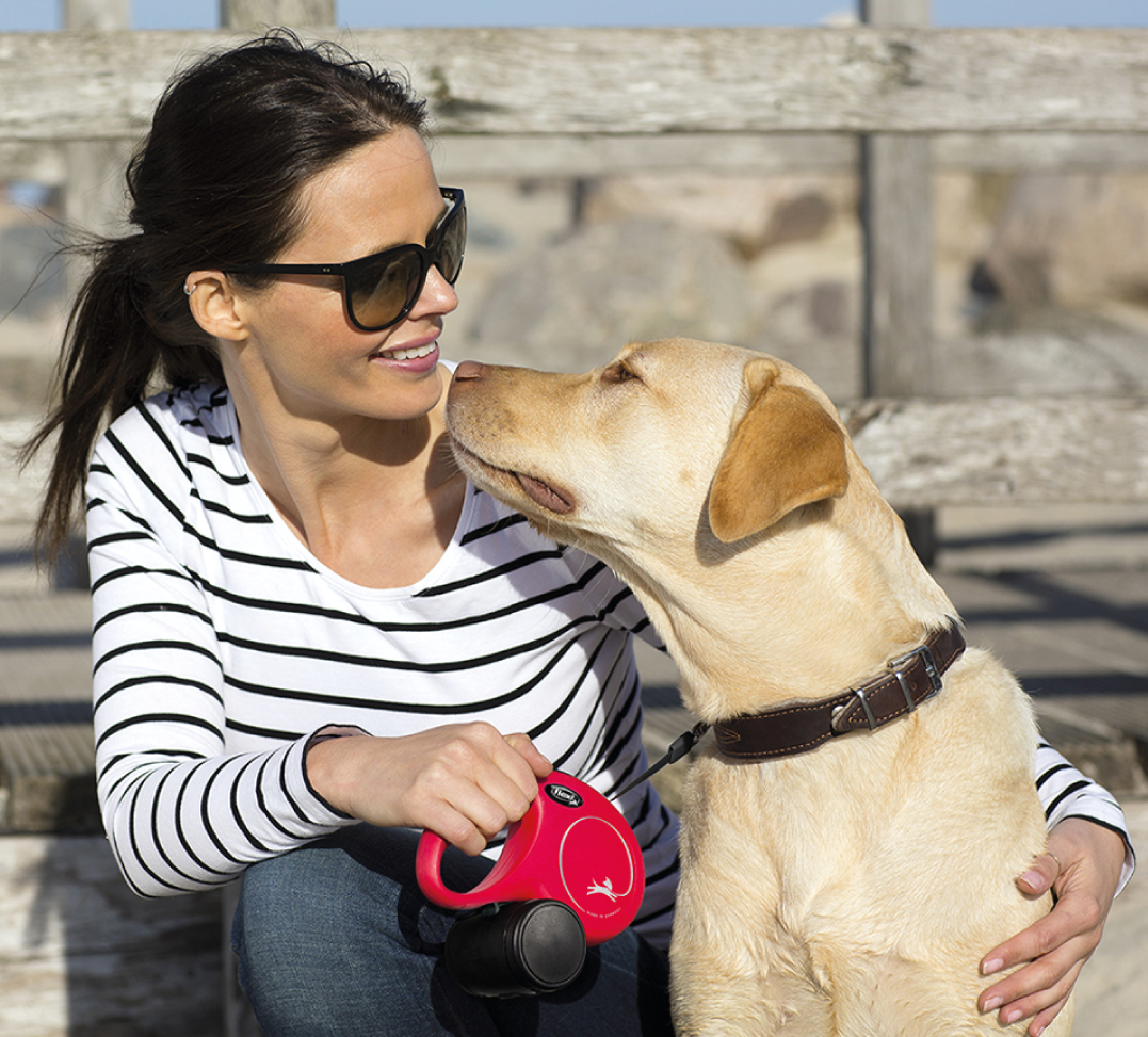 Flexi - New Classic - Guinzaglio in Fettuccia - S