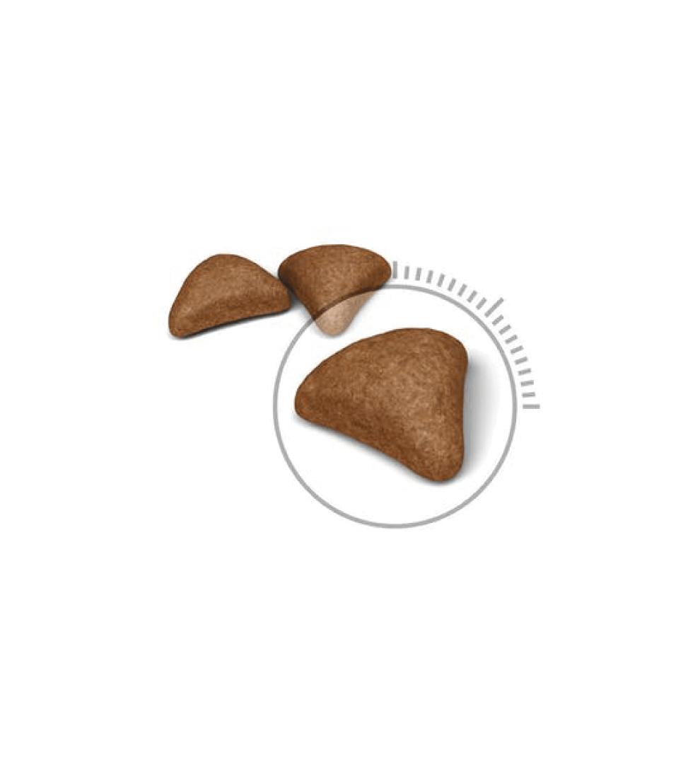 Royal Canin - Feline Care Nutrition - Hairball - 2kg