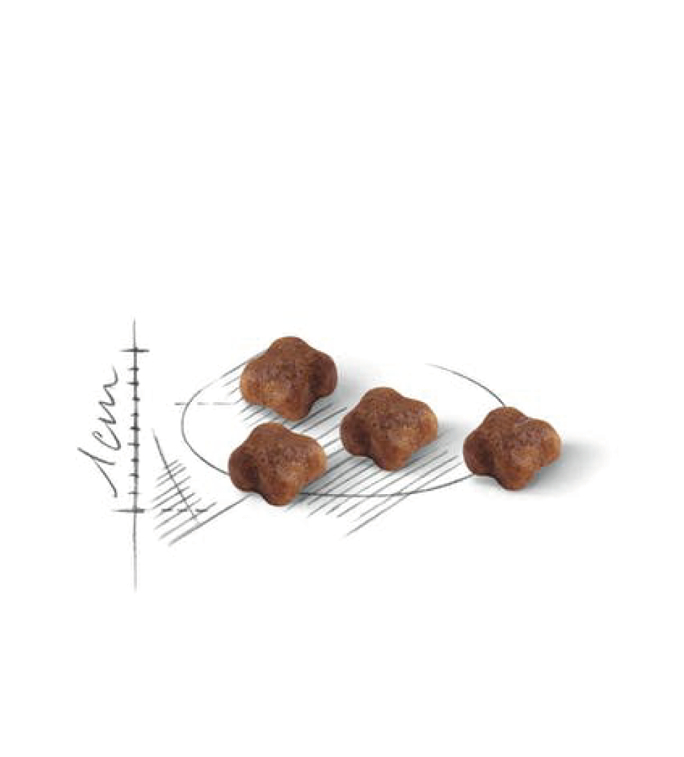 Royal Canin - Feline Health Nutrition - Mother&Babycat - 2kg