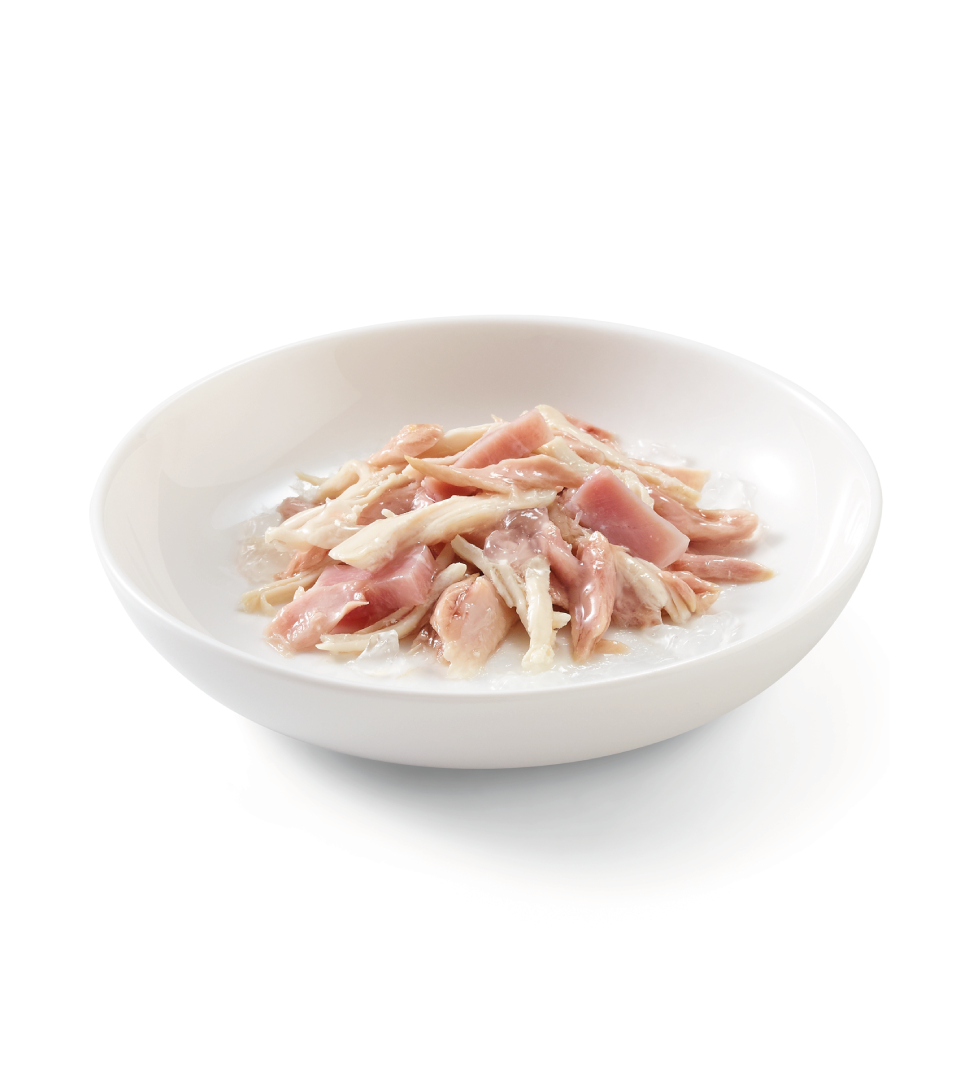 Schesir Cat - Completo - In Gelatina - Adult - 85gr