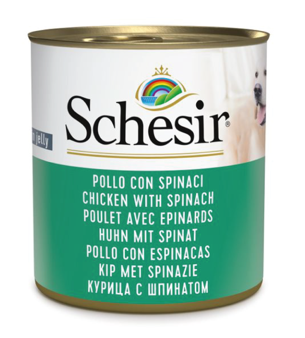 Schesir Dog - Gelatina - 285gr
