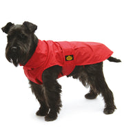 Fashion Dog - Impermeabile