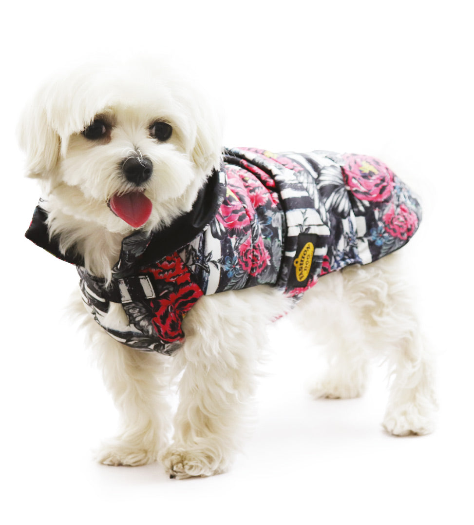 Fashion Dog - Piumino Impermeabile - ULTIME TAGLIE