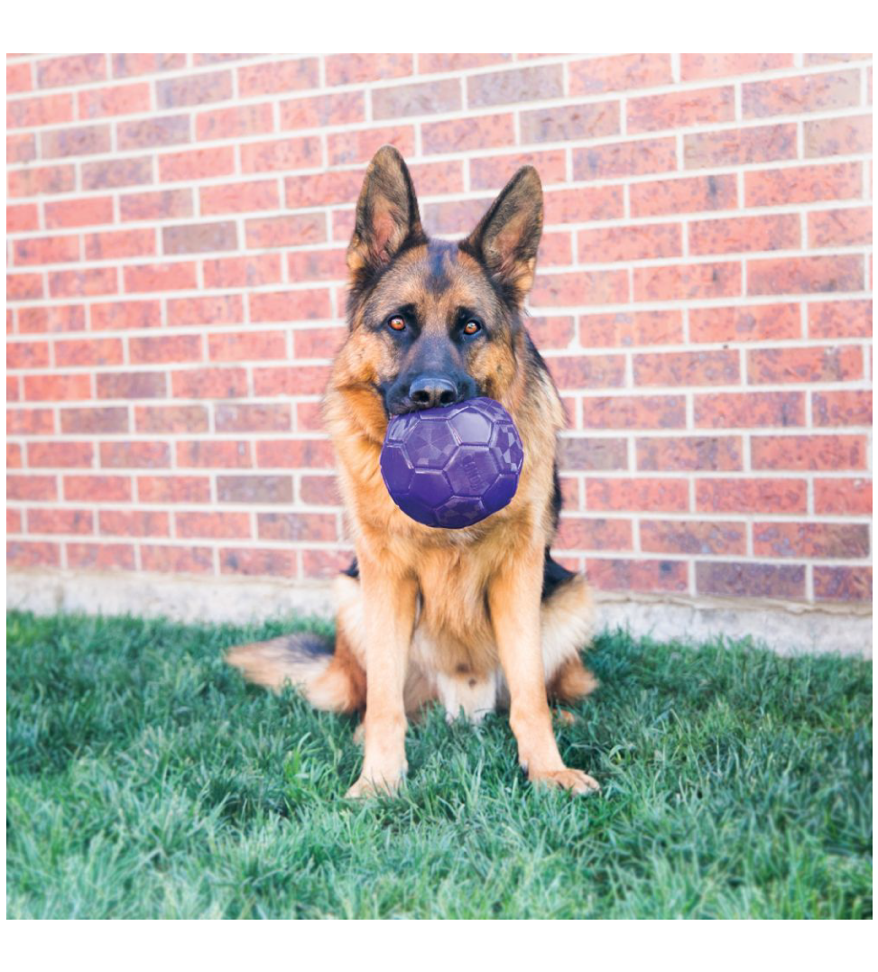 Kong - Flexball - M/L