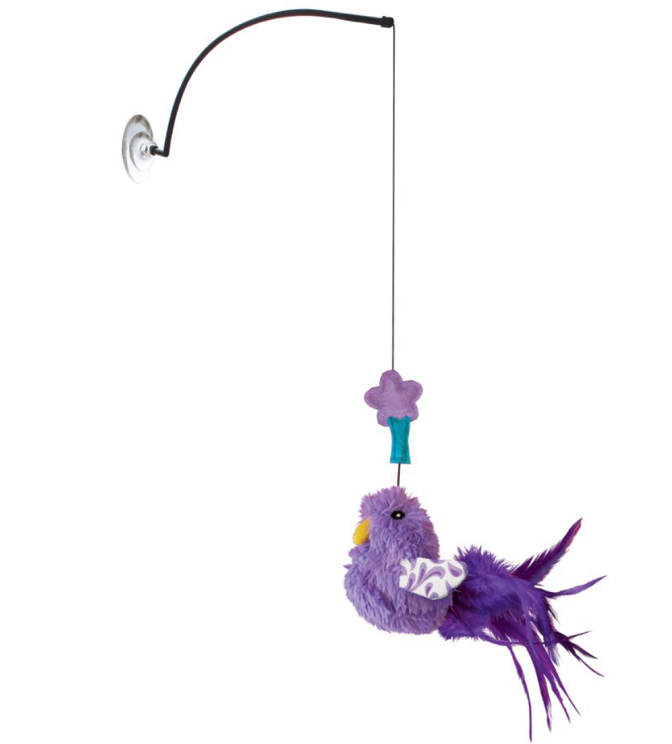 Kong - Active - Gioco per Finestra