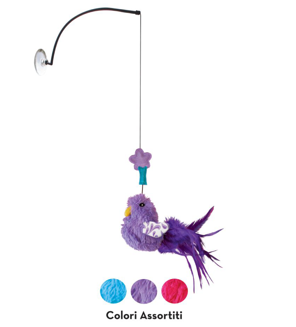 Kong - Active - Gioco per Finestra