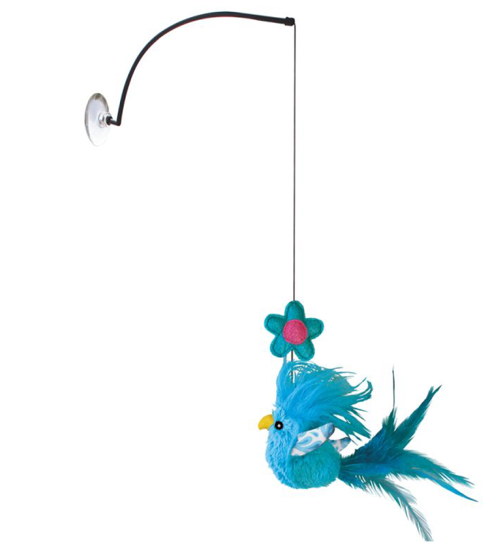 Kong - Active - Gioco per Finestra