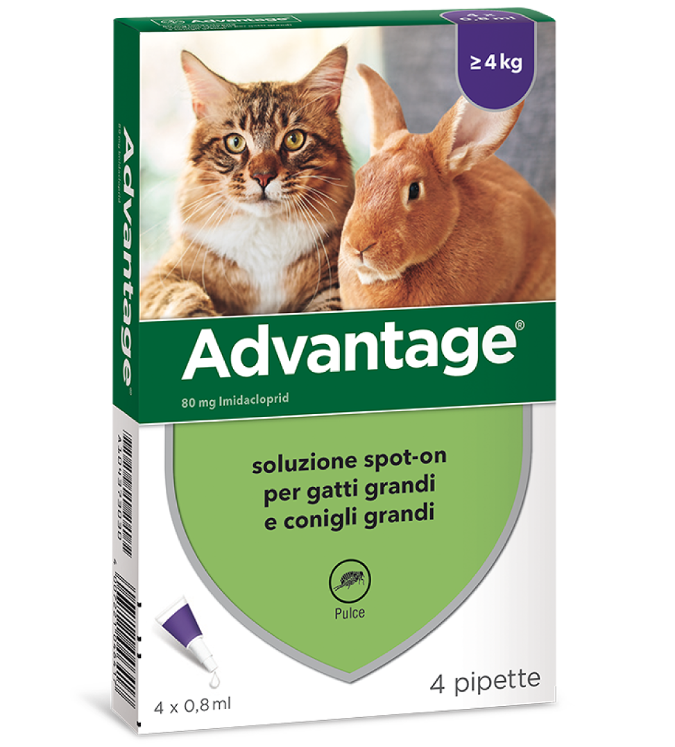 Elanco - Advantage - Antiparassitario per Gatti