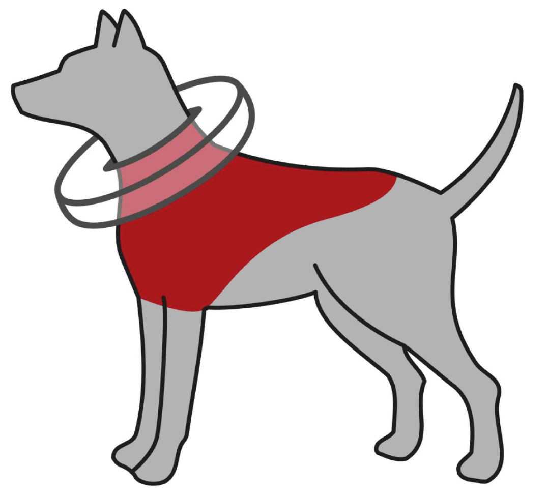 Trixie - Collare Elisabetta di Protezione Gonfiabile - S/M