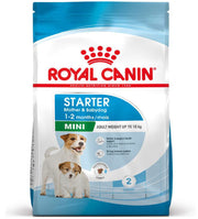 Royal Canin - Size Health Nutrition - Mini Starter Mother&Babydog - 1kg