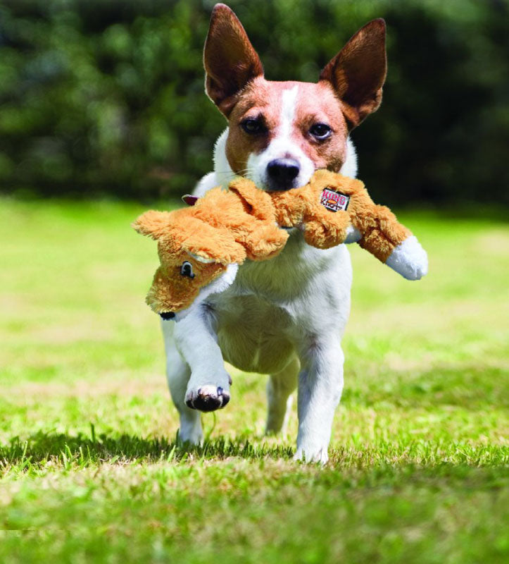 Kong - Knots Scrunch - Procione - S/M