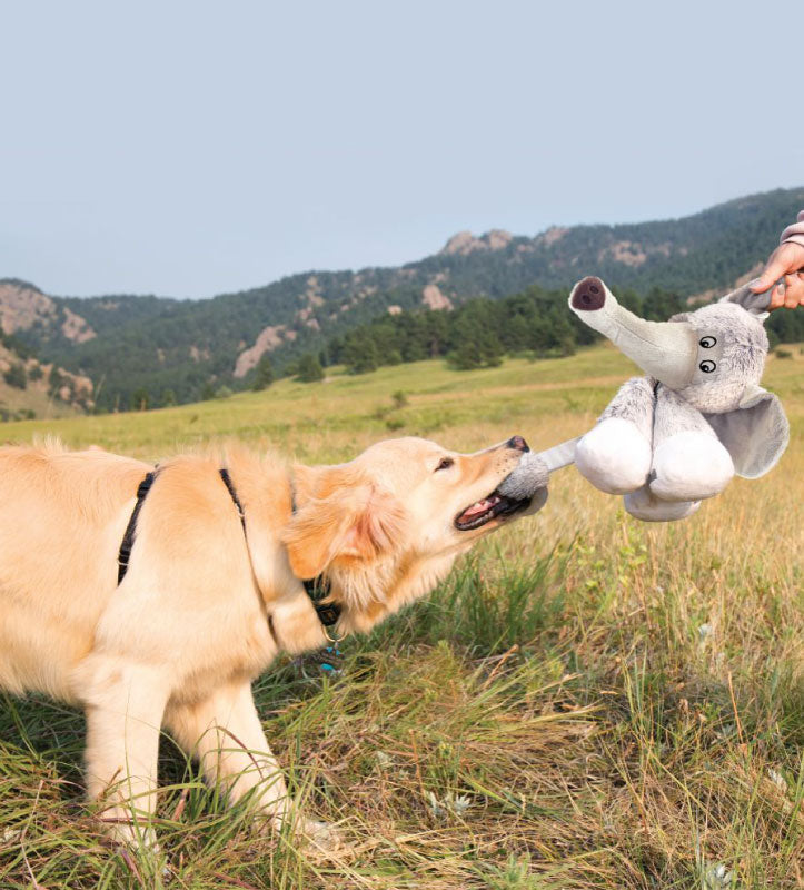 Kong - Strechezz Legz - Elefante - S