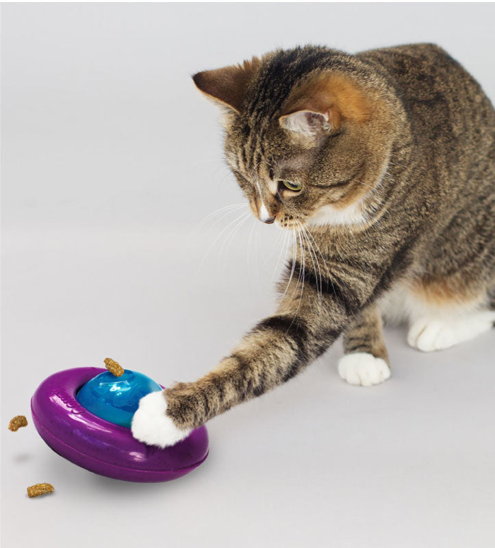 Kong - Infused - Gyro