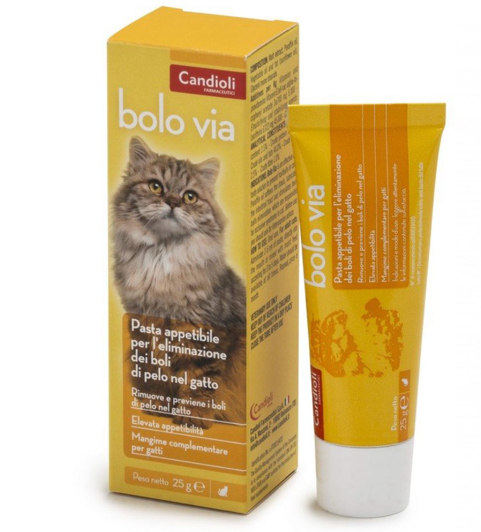 Candioli - Bolo Via - Pasta - 100gr