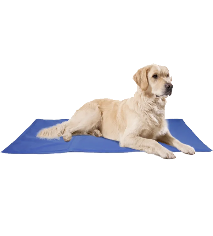 Flamingo - Materassino Rinfrescante - XL