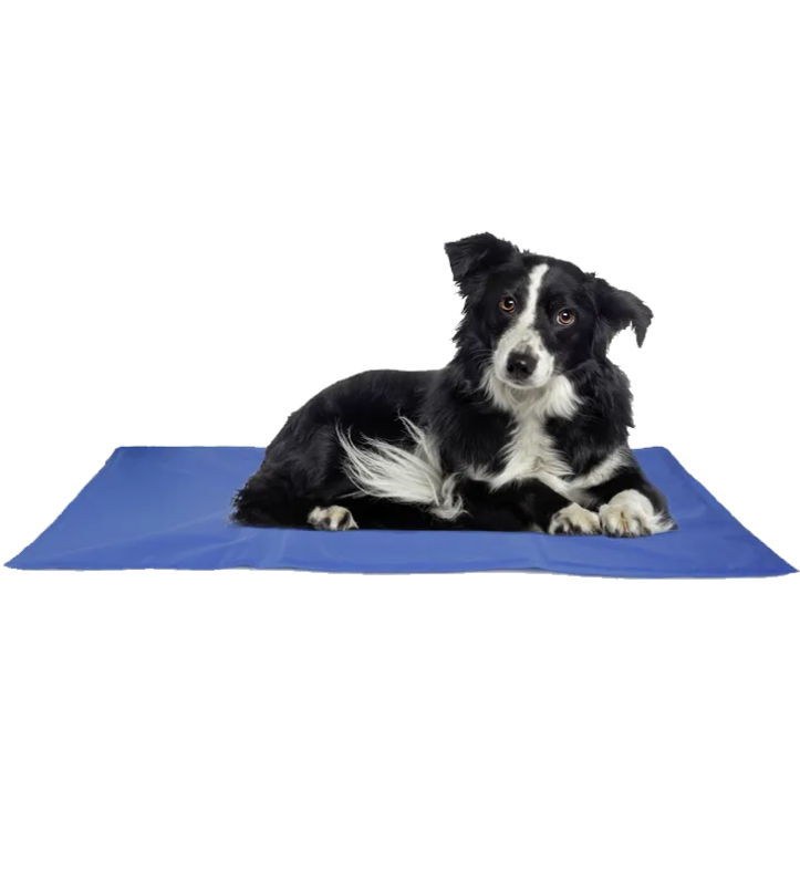 Flamingo - Materassino Rinfrescante - L