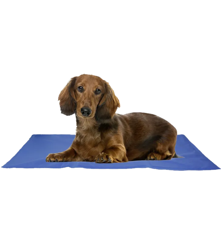 Flamingo - Materassino Rinfrescante - S